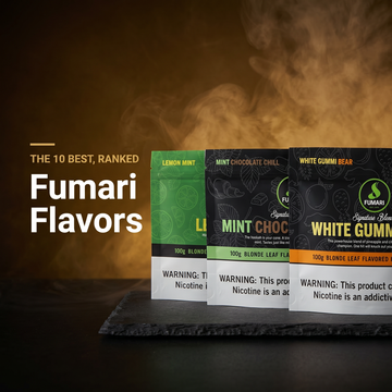 Best Fumari flavors ranked — Fumari Lemon Mint, Mint Chocolate Chill, and White Gummi Bear pouches on a warm golden smoky background (Hookah Vault Flavor Lab)