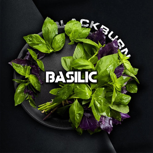 BlackBurn Basilic | Hookah Vault