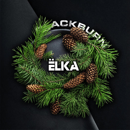 BlackBurn Christmas Tree | Hookah Vault