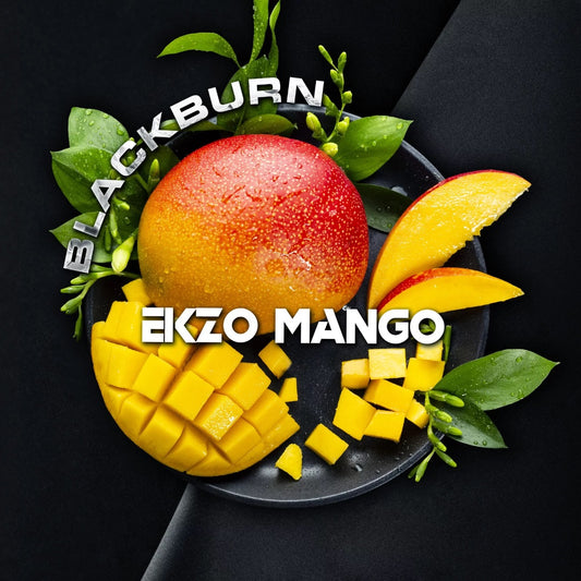 BlackBurn Ekzo Mango | Hookah Vault