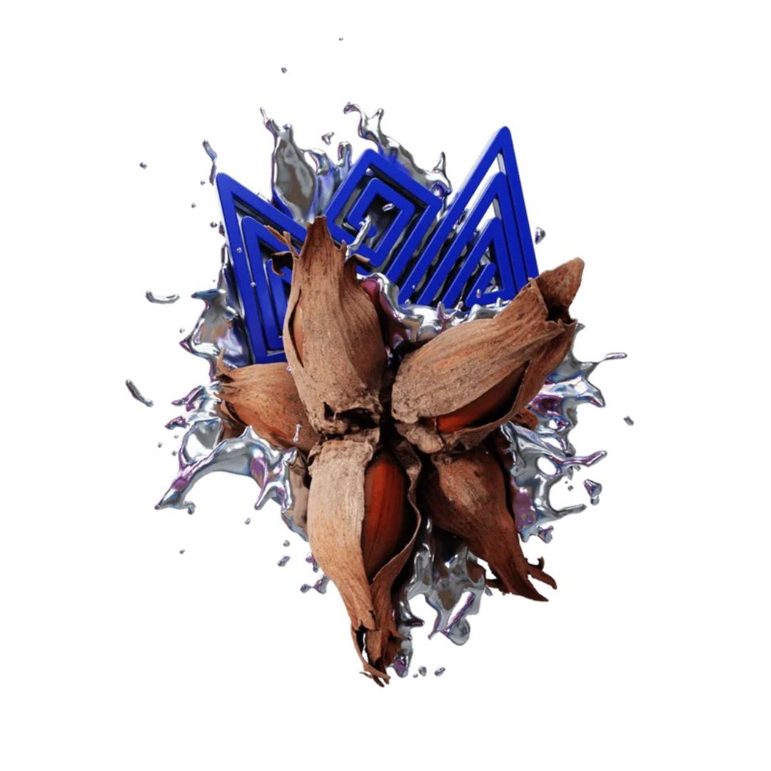 Sapphire Crown Hookah Tobacco Hazelnut Crush | Hookah Vault
