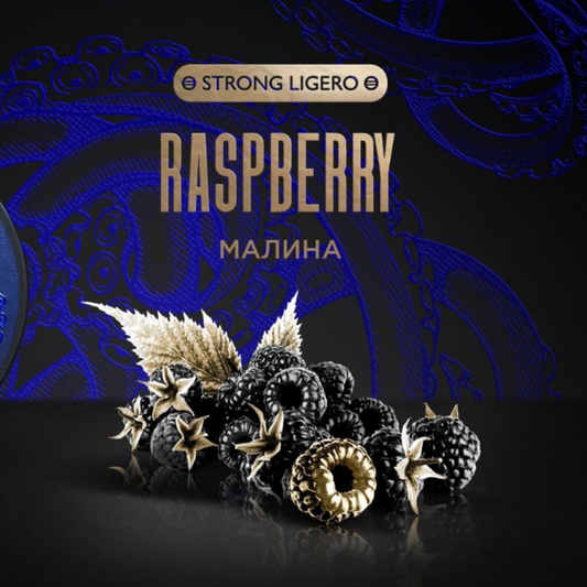Kraken Hookah Tobacco Raspberry | Hookah Vault